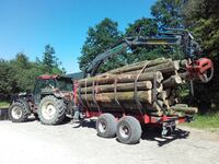 Holztransport Traktor R&uuml;ckewagen_red